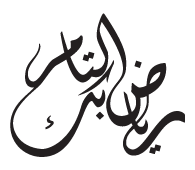 رياض بك التامر